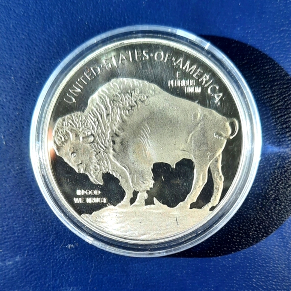 2021 American Buffalo Silver Coin Commemorative (copy)